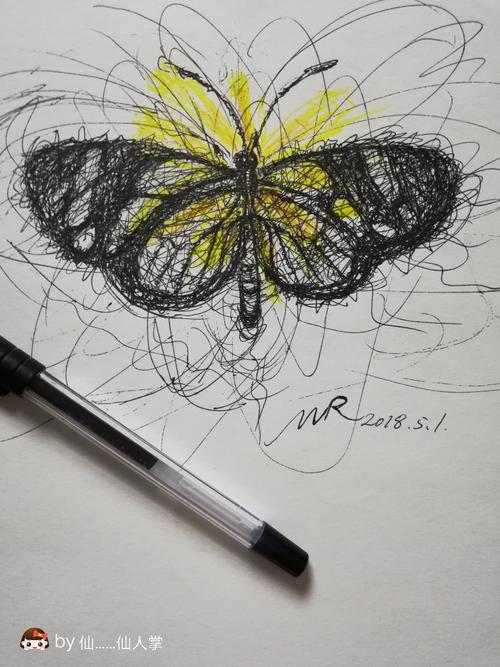 第一次画飞线画,没有针管笔,只用了一只中性笔和彩铅,画的好乱啊!