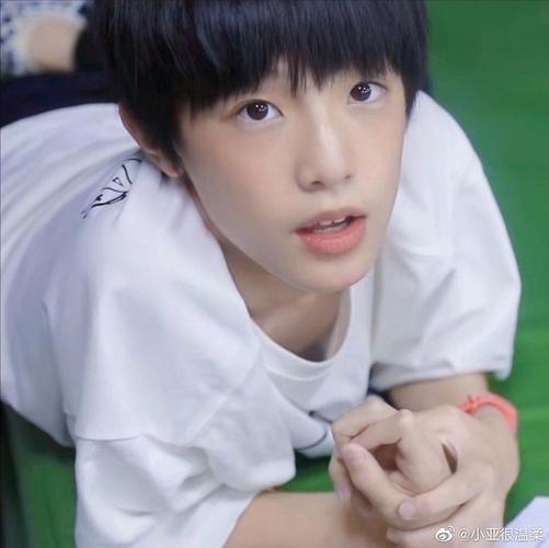 这是一个张泽禹幼崽楼