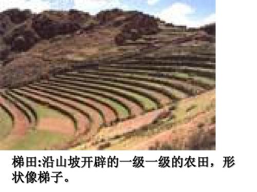 葡萄沟课件ppt 2