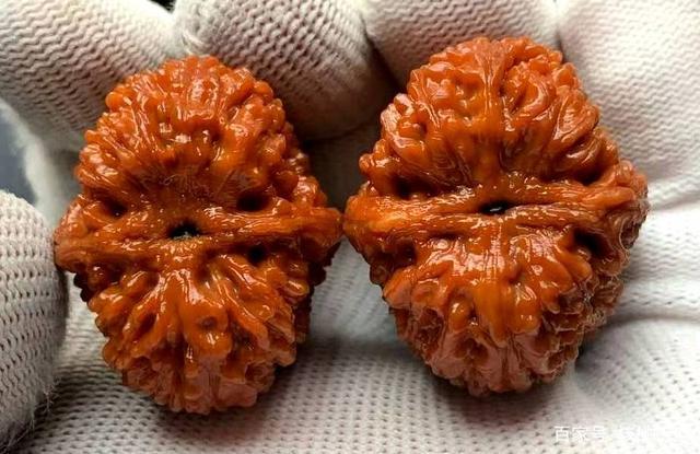 150种文玩核桃品种分享之101:大蒜头