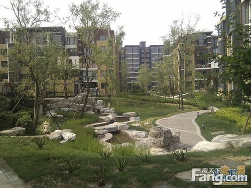 首开常青藤小区实景图2012.06
