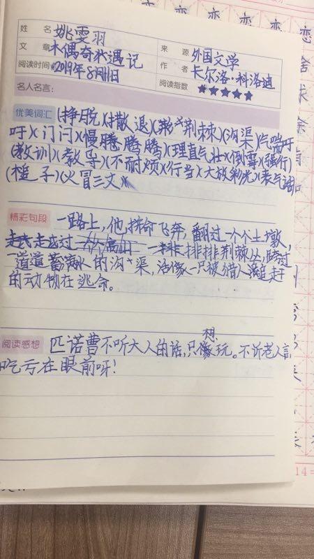日积月累,优美词句的摘抄.