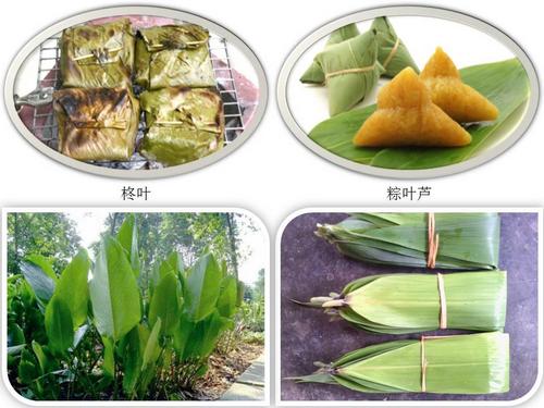 柊叶和粽叶芦所具有的良好抗氧化和抑菌活性,验证了其作为防腐包装