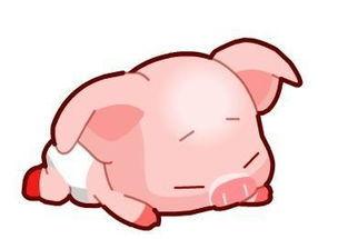 小猪头像简笔画大全大全|小猪图片简笔画耳朵-8kb