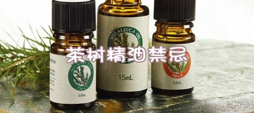 植物萃取精华茶树精油