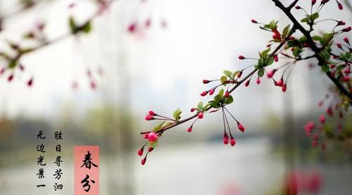 春分时节为什么会有"竖蛋"的习俗,这一天鸡蛋真的能竖