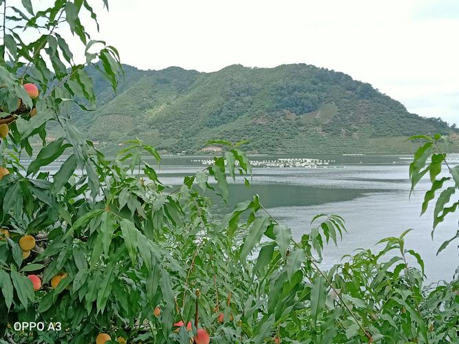 丹东小韭菜沟,北方的千岛湖一日游随拍.