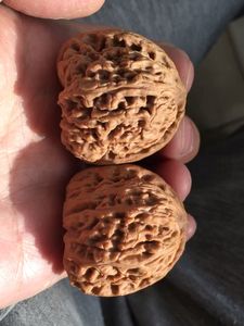 白茬文玩核桃
