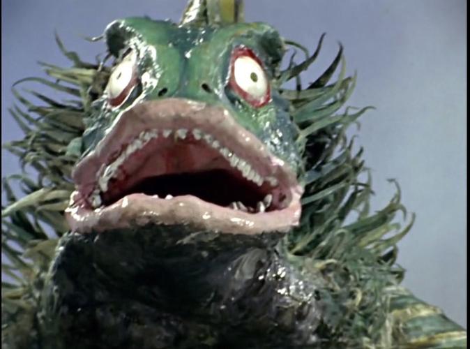 眼睛呈鱼类那样圆形,能够在水中活动时看清周围环境.