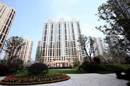 鸟叔空降临平? 康城一品现场体验中心盛装开放