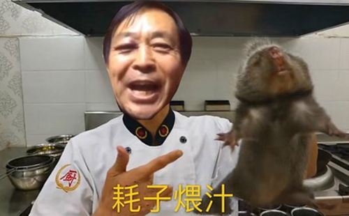 《抖音》年轻人耗子尾汁图片分享