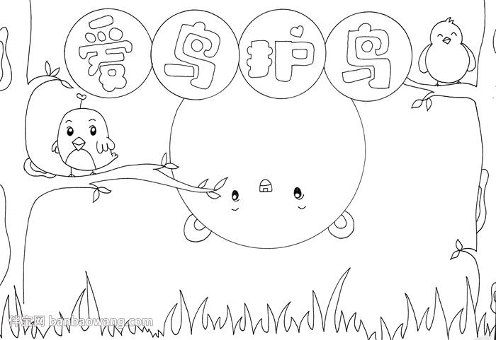 爱鸟护鸟手抄报
