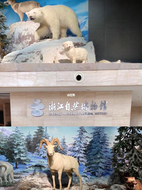 浙江省自然博物馆(杭州馆)免费!一定要去!