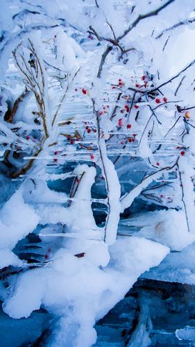 已是悬崖百丈冰原创