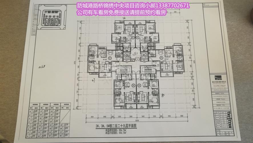 广西防城港路桥锦绣中央别墅户型图面积 价格 最新工程进度交房时间