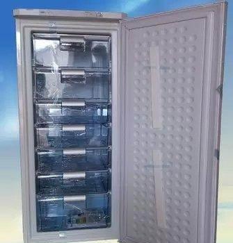 出口荷兰 冰柜 立式全冷冻抽屉式冰柜 单门冰柜 家用