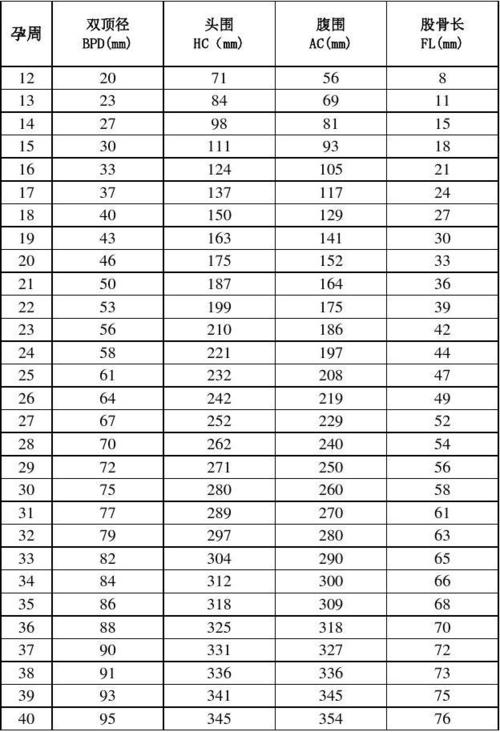 孕周与胎儿大小对照表