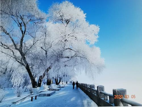 松花江畔雾淞美