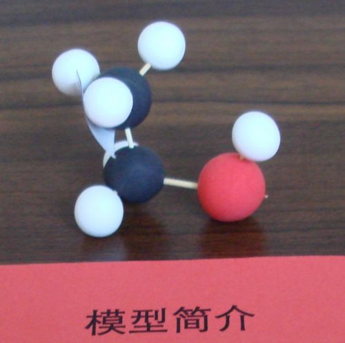 学生制作的乙醇模型