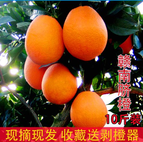 正宗江西特产当季新鲜水果橙子赣南脐橙水分充足超甜爽口10斤包邮