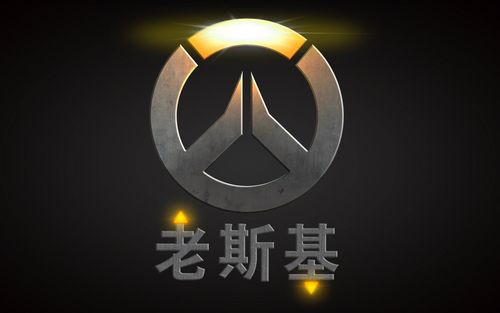 守望先锋老斯基精彩集锦.