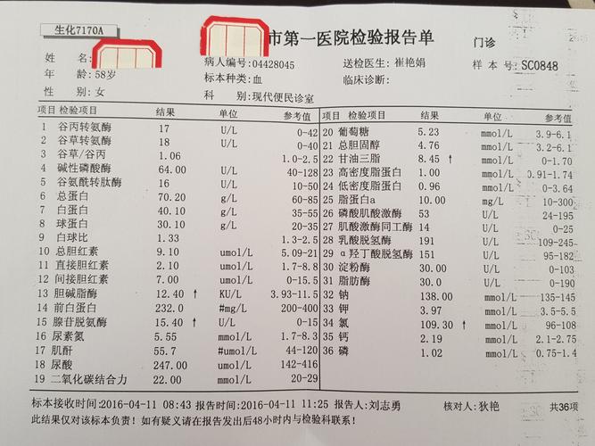 路过的,哪位懂,帮我看下大生化检查结果.