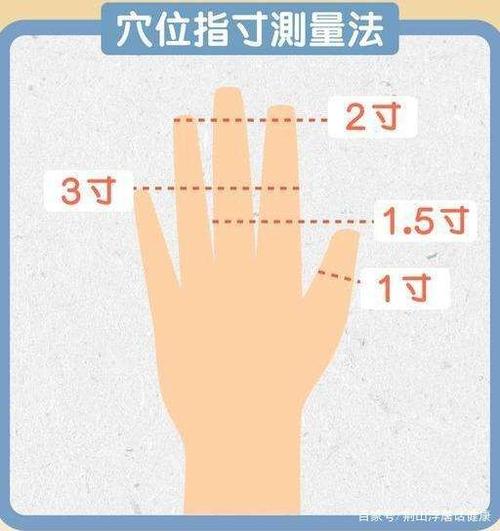 所谓同身寸就是以自己的手测量本人身上的穴位.