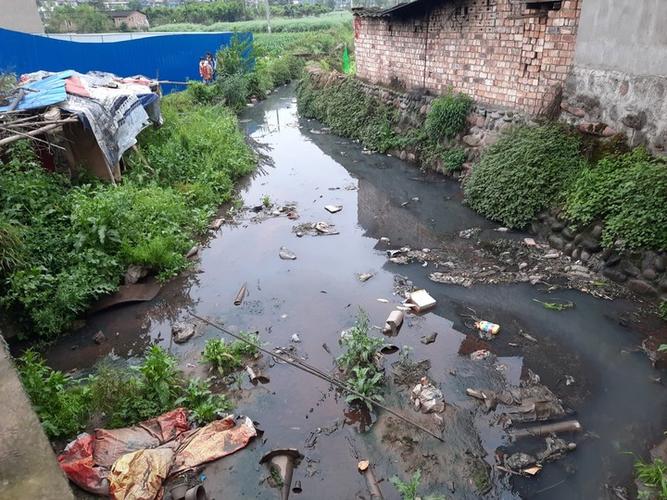 图为位于大兴新区前进村的臭水沟.