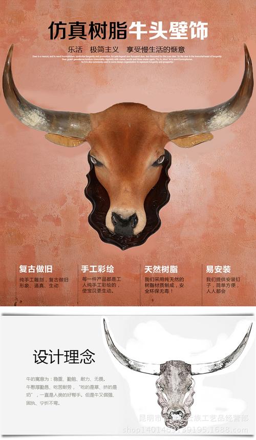云南非洲黄牛头挂件真动物头部标本工艺品摆件仿真动物装饰品