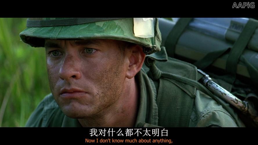 处暑‖ 《阿甘正传》