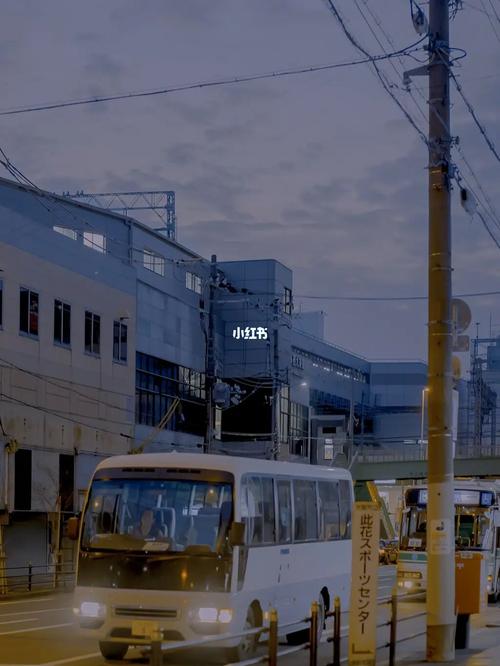 多干活少说话_独居_多干活少说话_生活记录_接地气生活