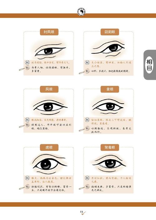 面相速查——眼_一学就会《图解麻衣神相》在线听_社科文学_有声小说