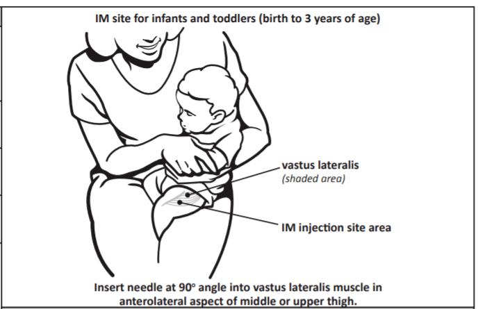 年龄较小的儿童可以选择大腿肌肉作为疫苗肌肉注射的位置(图片来源