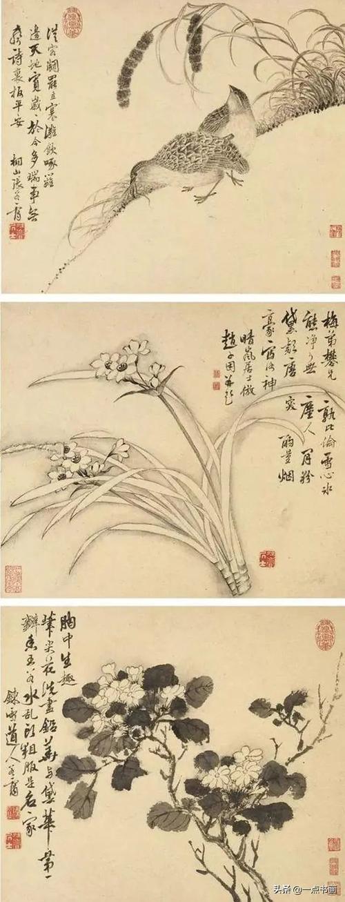 书画联盟丨清 张若霭 水墨花卉册页欣赏