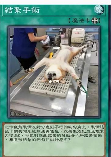 想求个柴犬色色表情包