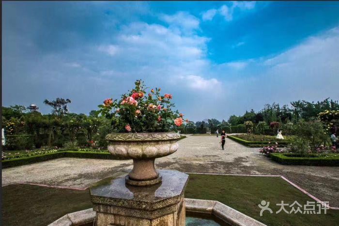 五月玫瑰园-图片-温江区周边游-大众点评网