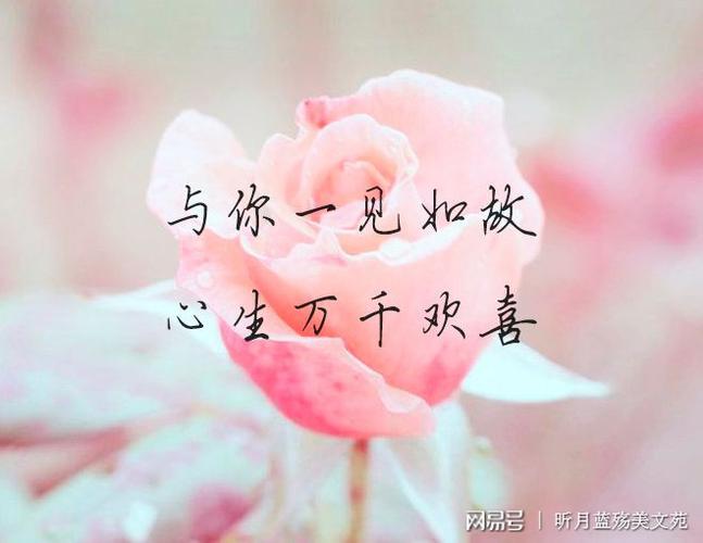 与你一见如故心生万千欢喜