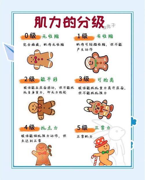 �肌力分级,你了解吗?