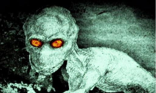 7,爱兰青蛙人:目击者声称,这是一种有蹼能直立行走的生物.