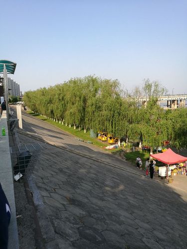 2019洛浦公园游玩攻略,免费的公园 没什么可玩的 就.