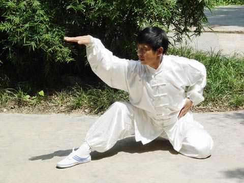 蛇拳