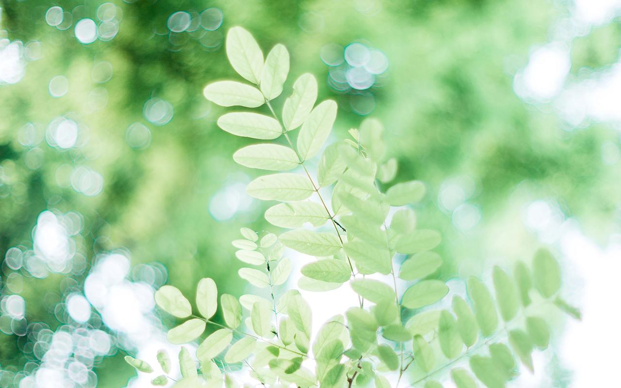 夏至唯美清新壁纸下载 2018夏天清爽壁纸高清图片大全