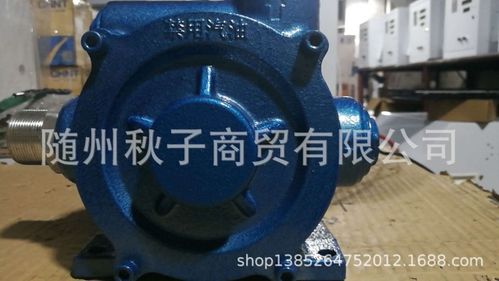 【正星加油机油泵】正星12v带泵带电机抽油泵,加油泵,电机泵,好油泵