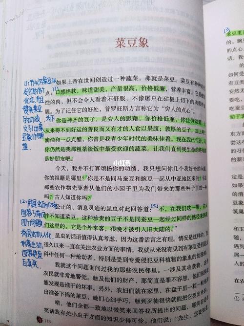 《菜豆象》读书笔记_读书笔记_昆虫记章节批注_文化