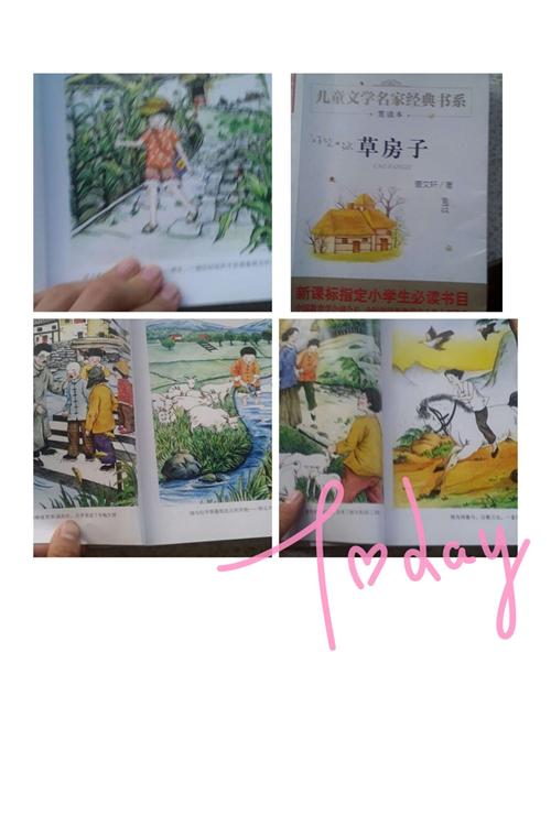 江昱桐同学正在读《草房子》.