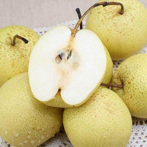 正宗雪梨河北赵县赵州雪花梨整箱10斤新鲜水果梨子包邮熬梨水冰糖