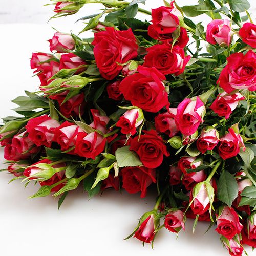 支上海狂欢泡泡 10 包邮家庭云南小玫瑰蔷耷 扎 多头玫瑰鲜花