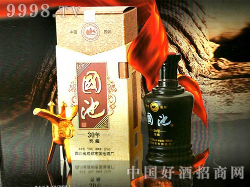 国池窖藏30