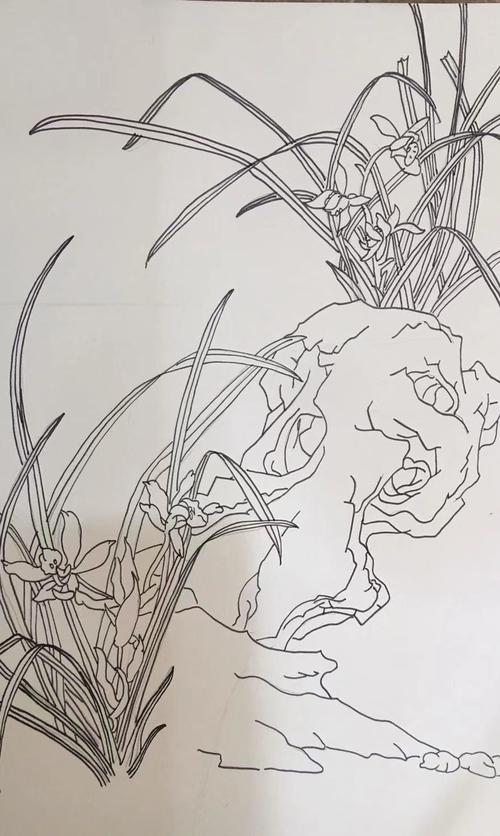 现场给学生示范白描国画草稿!