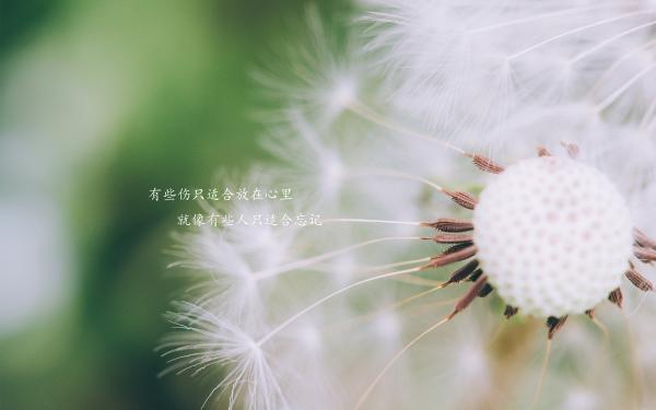释放压抑的心情说说